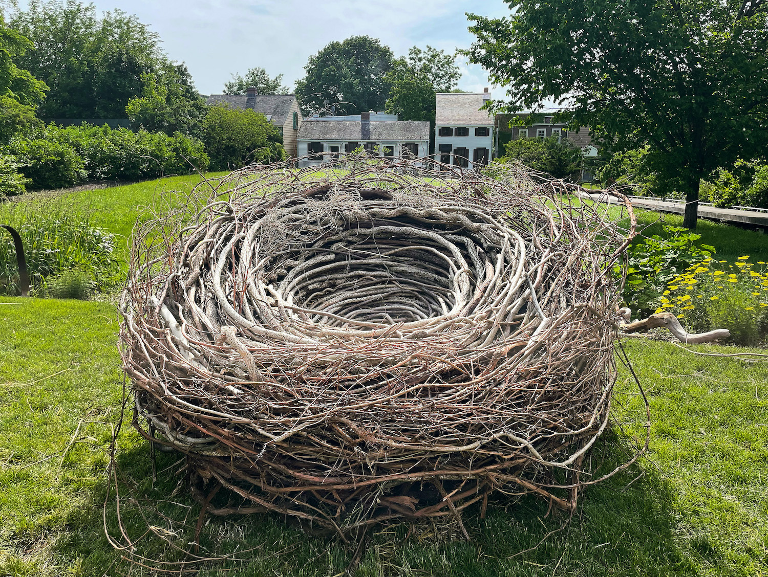 The Radiance NEST - Debbie Baxter